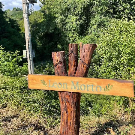 Leon Morto *